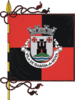 Flag of Idanha-a-Nova