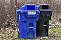 A recycling bin (blue) and garbage disposal bin (black) available to patrons in a Municipal Park within Toronto, ON