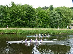 St. Mary's College Boat Club's Men's team racing on the Wear.