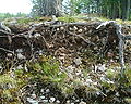 Burned rocks in northern Jämtland