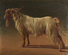 Painting of a ram by Abraham Teerlink