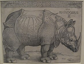 Dürer's Rhinoceros, 1515