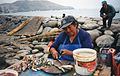 Ancon, Peru. Fisherfolk gutting the catch.