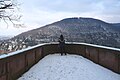 Aussichtskanzel am Riesenstein mit Blick auf den Heiligenberg