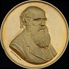 Medal obverse, as described in body of article