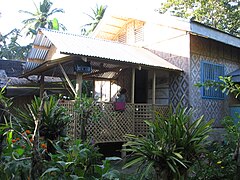 A rural house in Leyte with amakan sidings woven into diamond patterns