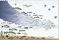 Image 73Fishing down the food web (from Marine food web)