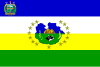 Flag of Guárico State