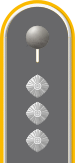 Dienstgradabzeichen auf der Schulterklappe der Jacke des Dienstanzuges für Heeresuniformträger der Heeresaufklärungstruppe.