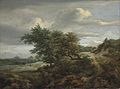 Jacob van Ruisdael, 1650s