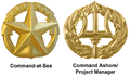 Command at Sea and Command Ashore/Project Manager Insignia
