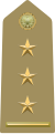 Primo capitano[3] (Italian Army)