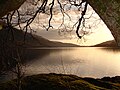 Image 19Loch Lomond in Scotland forms a relatively isolated ecosystem. The fish community of this lake has remained unchanged over a very long period of time. (from Nature)