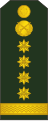 Căpitan[11] (Moldovan Ground Forces)