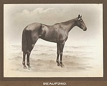 Beauford, 1921 winner
