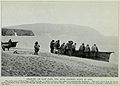 Chukchi men at Dezhnevo pulling an umiak onto the beach, Cape Dezhnev headland in background, 1913