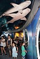 Changfeng Park aquarium walkway