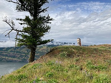 A couple overlooks the Columbia River Gorge from a viewpoint near Mosier, Oregon