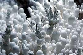 Cave popcorn with frostwork