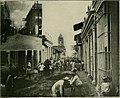 Workers paving the roads of the streets of Camagüey in 1904. Munson Steamship Line.