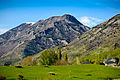 View of the Wasatch range from Pleasant Grove