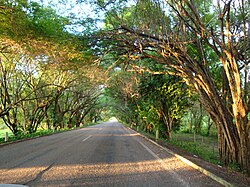 Section of the Jalapa-Villahermosa highway