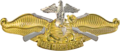 Fleet Marine Force [FMF] officer insignia