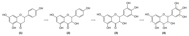 Biosynthese von Delphinidin-3-O-glucosid