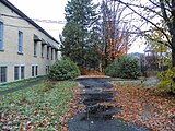 A driveway in a garden alongside a building. The path is partially covered with fallen leaves.