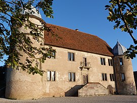 The chateau in Diedendorf