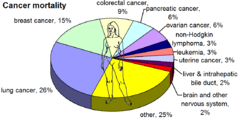 Most common cancers in females, by mortality