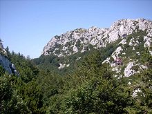 A colour photograph of steep white rock outcrops fringed by thick forest