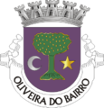 Coat of arms of Oliveira do Bairro municipality, Portugal