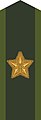 Collar patch m/58 (gold) on uniform m/58-m/59 and field uniform M90 (2000–2002)