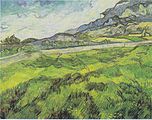 Green Wheat Field, June 1889, owner unclear, possibly on loan to Kunsthaus Zurich, Zurich (F718 )