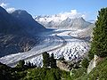 Image 24The Aletsch Glacier with pine trees growing on the hillside (2007; the surface is 180 m (590 ft) lower than 150 years ago) (from Alps)