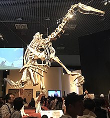 Deinocheirus skeletal mount