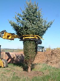 A tree baler in action