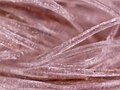 Woolen shawl under microscope