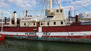 Horns Rev bei Havneøen in Esbjerg, 2020