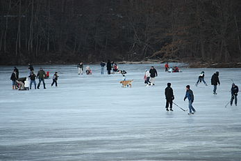 Ice skating on the lake