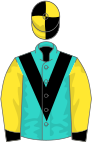 Turquoise, black chevron, yellow sleeves, black cuffs, black and yellow quartered cap