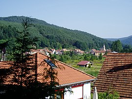 View of the village and the valley of the Falkensteinerbach