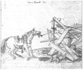 Pferd und zusammengebrochenes Holzgestell.