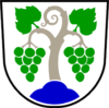 Coat of arms of Vipava