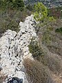 Wall of Tur Shimon