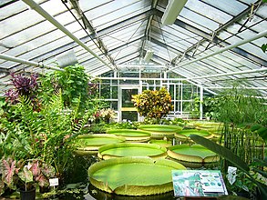 Botanischer Garten Braunschweig, Braunschweig, Niedersachsen,  Germany