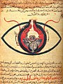 Image 16The eye according to Hunayn ibn Ishaq, c. 1200 (from Science in the medieval Islamic world)
