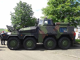 Driver training variant of Boxer; this variant has been ordered by Australia, Germany, Lithuania and the Netherlands