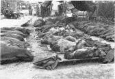 Bodies of massacre victims, many with their hands still bound